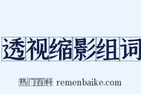 透视缩影组词是什么意思的图片